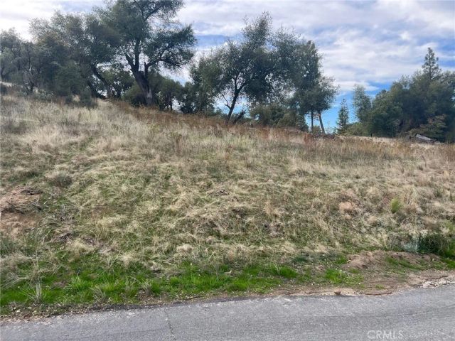 0 Hangtree, Oakhurst, CA 93644