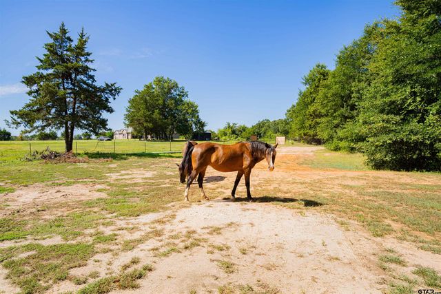 7635 N US Highway 271, Mount Pleasant, TX 75455