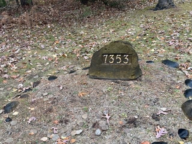 7353 Artesia Beach Road, Saint Helen, MI 48656