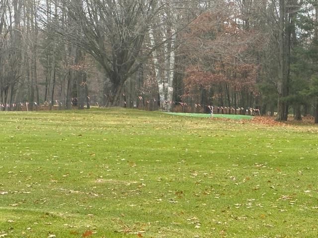 7353 Artesia Beach Road, Saint Helen, MI 48656