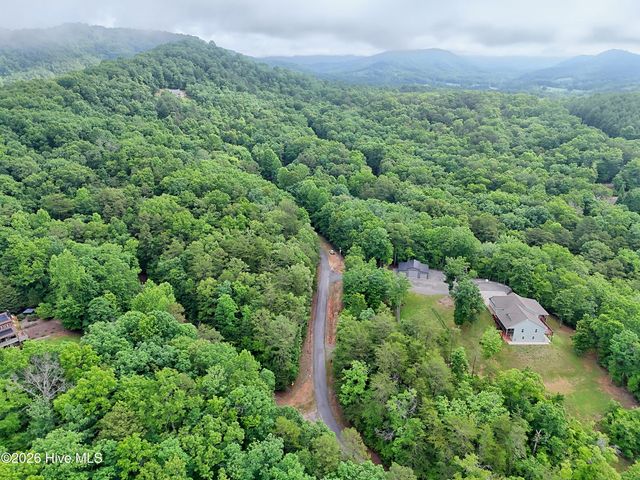 Lt 16,19 Pheasant Trail, Warne, NC 28909