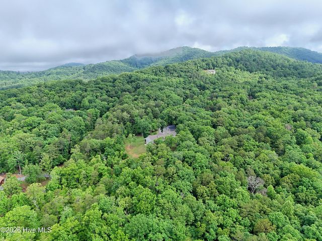 Lt 16,19 Pheasant Trail, Warne, NC 28909