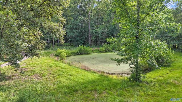 102 Boys Ranch Road, Hartselle, AL 35640