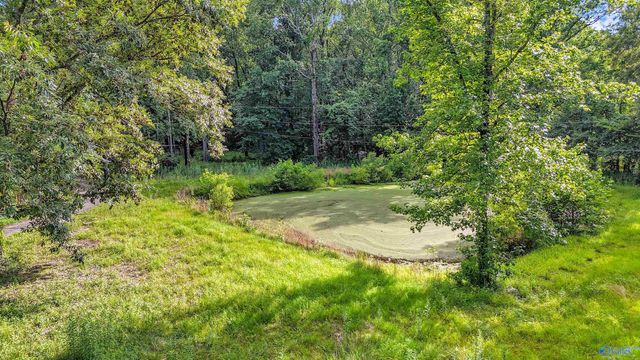 102 Boys Ranch Road, Hartselle, AL 35640