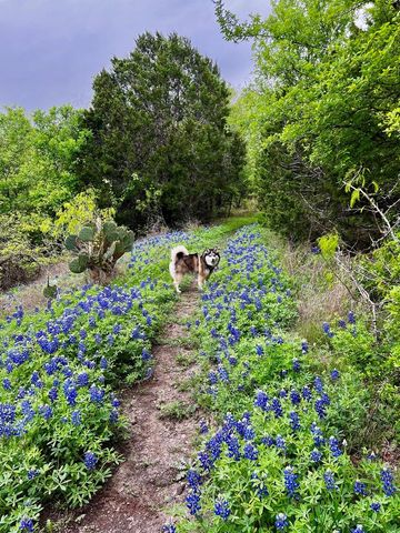 10629 Sunday DR, Austin, TX 78747