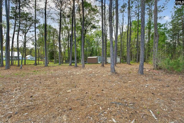 1045 Rushing Road, Blythewood, SC 29016