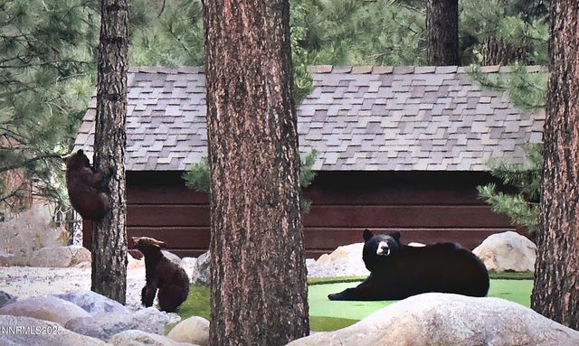 16555 Evergreen Hills Drive, Reno, NV 89511