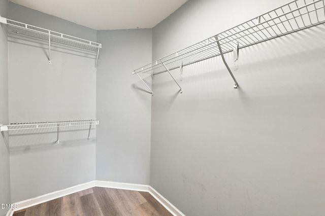 3005 Stone Fence Court, Durham, NC 27704
