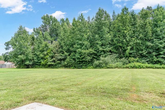 105 Short Track Drive, New Market, AL 35761