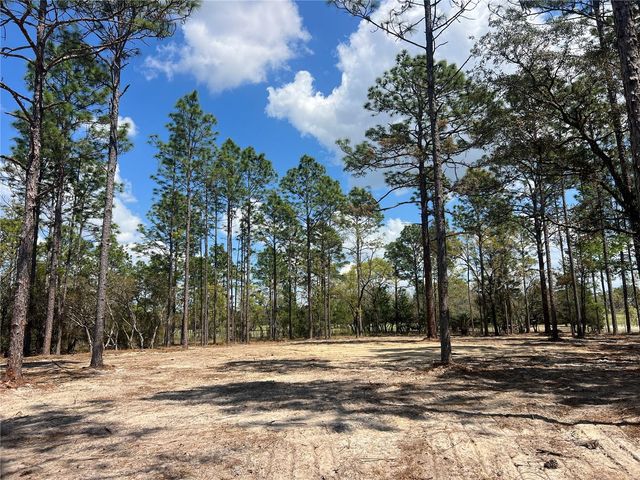 16 SE 136 TERRACE, Dunnellon, FL 34431