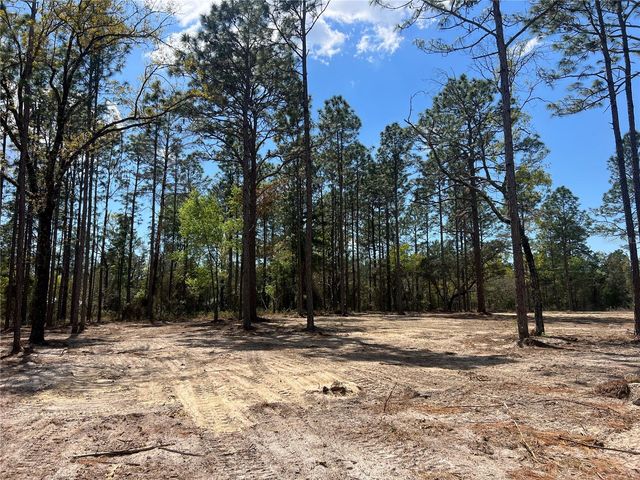 16 SE 136 TERRACE, Dunnellon, FL 34431