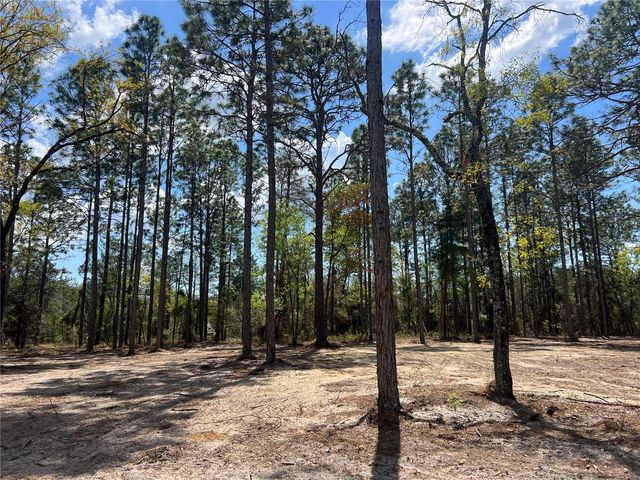 16 SE 136 TERRACE, Dunnellon, FL 34431