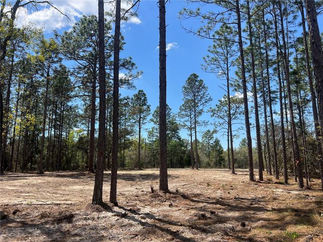 16 SE 136 TERRACE, Dunnellon, FL 34431