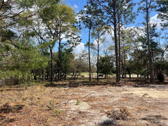 16 SE 136 TERRACE, Dunnellon, FL 34431