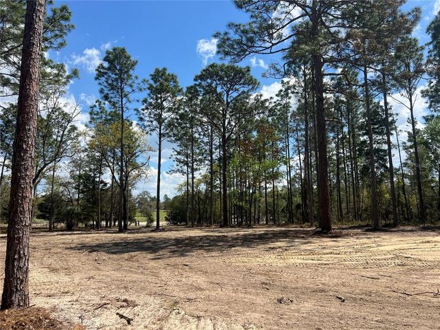 16 SE 136 TERRACE, Dunnellon, FL 34431