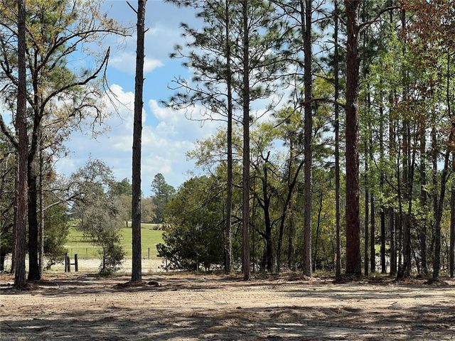 16 SE 136 TERRACE, Dunnellon, FL 34431