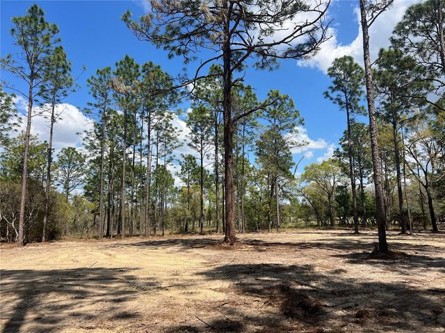 16 SE 136 TERRACE, Dunnellon, FL 34431