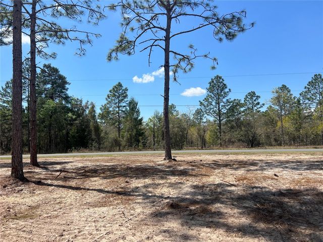 16 SE 136 TERRACE, Dunnellon, FL 34431