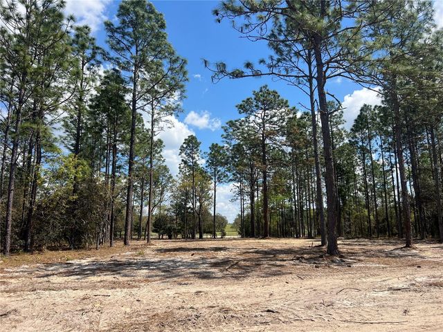 16 SE 136 TERRACE, Dunnellon, FL 34431