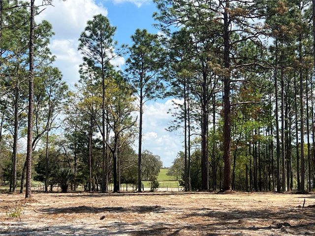 16 SE 136 TERRACE, Dunnellon, FL 34431