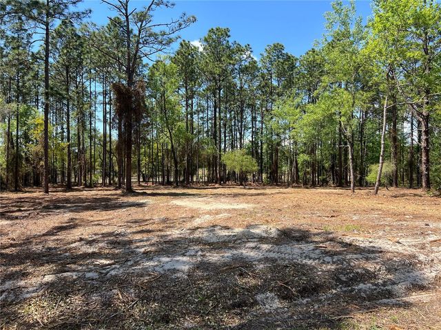 16 SE 136 TERRACE, Dunnellon, FL 34431