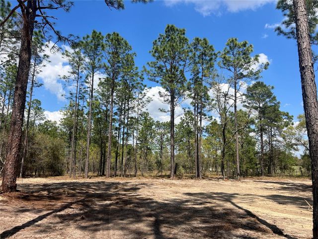 16 SE 136 TERRACE, Dunnellon, FL 34431