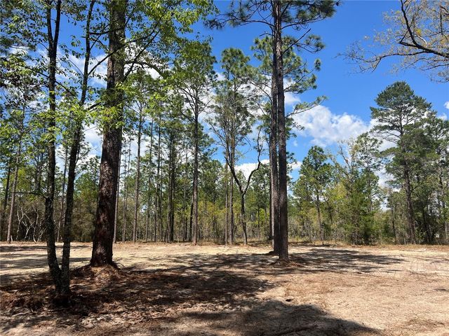 16 SE 136 TERRACE, Dunnellon, FL 34431