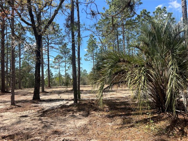 16 SE 136 TERRACE, Dunnellon, FL 34431