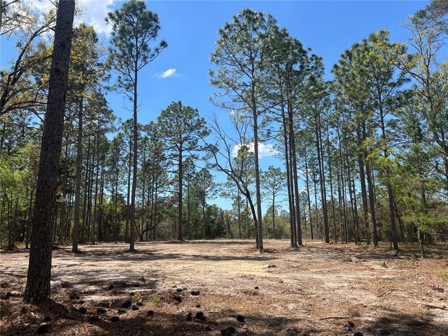 16 SE 136 TERRACE, Dunnellon, FL 34431