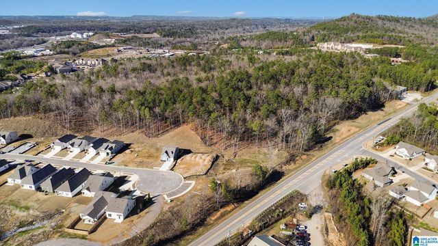 141 HUNTLEY RIDGE DRIVE, Pelham, AL 35124