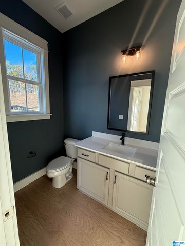 141 HUNTLEY RIDGE DRIVE, Pelham, AL 35124