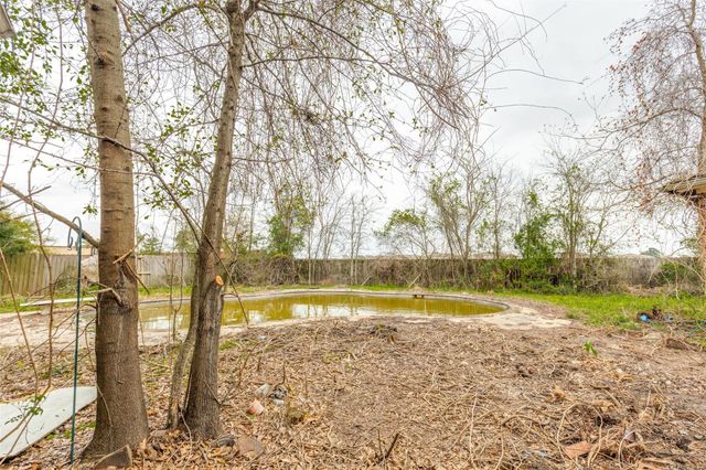 20434 Long Cypress Drive, Spring, TX 77388