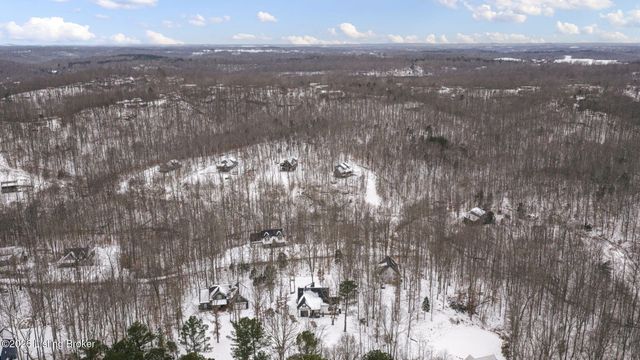 253 Moutardier Bay Dr, Leitchfield, KY 42754