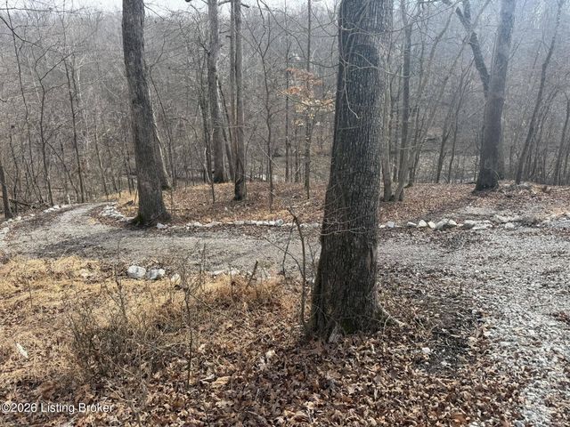 253 Moutardier Bay Dr, Leitchfield, KY 42754