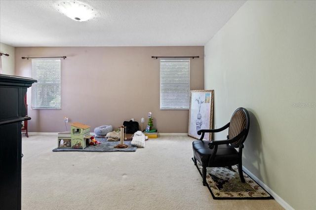 4445 AMBERLY OAKS COURT, Tampa, FL 33614