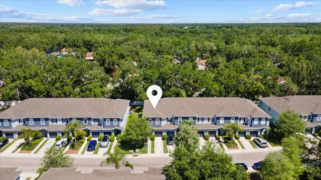 4445 AMBERLY OAKS COURT, Tampa, FL 33614