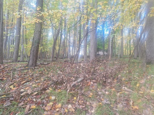 9550 Golf Port Drive #202, Stanwood, MI 49346