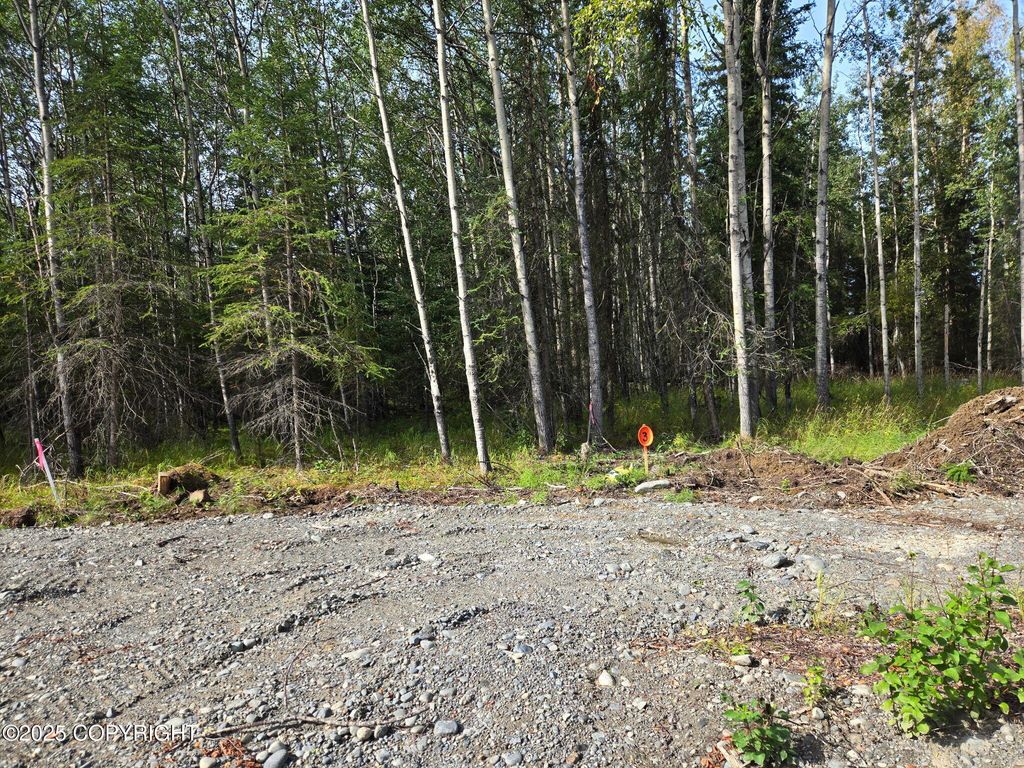 Lot 3 Bent Rod Court, Sterling, AK 99672