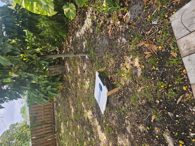 4330 NW 11th Street, Lauderhill, FL 33313