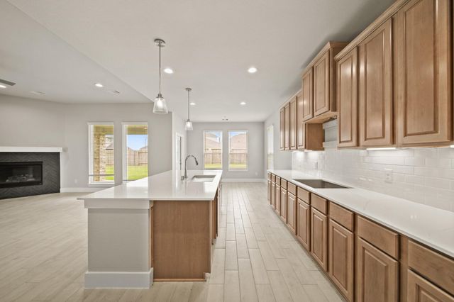 409 Inner Cove Lane, Waller, TX 77484