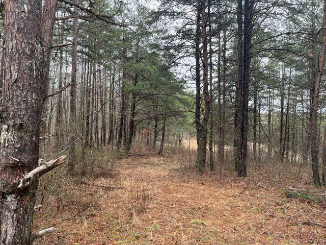 131 Marvins Lane, East Bernstadt, KY 40729