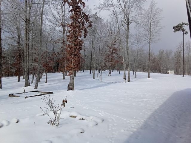 131 Marvins Lane, East Bernstadt, KY 40729