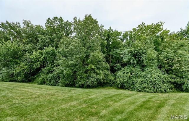 8 Turtle Creek Villas Drive 4R, O'fallon, MO 63366