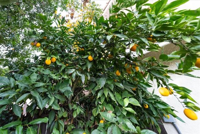 822 Oakhurst Drive, Pomona, CA 91767