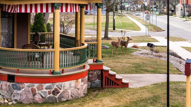 1401 Greenwood Avenue, Jackson, MI 49203