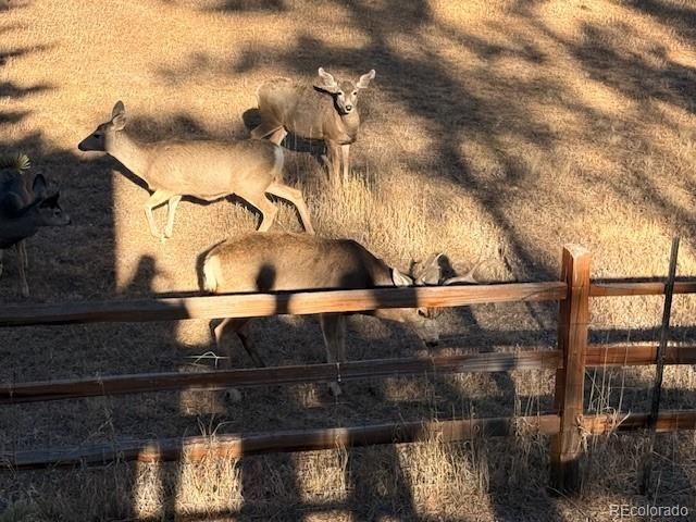 541 Beaver Trail, Bailey, CO 80421