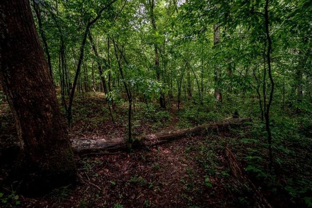 1715 Ammons Bridge Road, Monroe, GA 30655