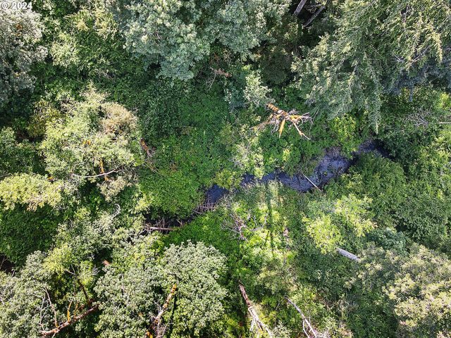 3999 Ne TIMBER, Silverton, OR 97381