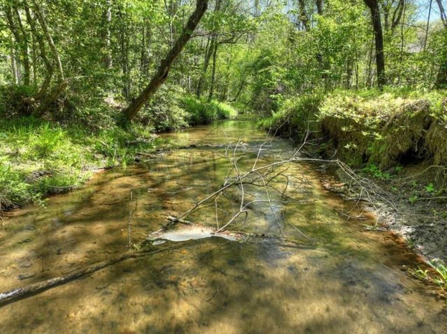 76 E Bevan Lane, Blue Ridge, GA 30513