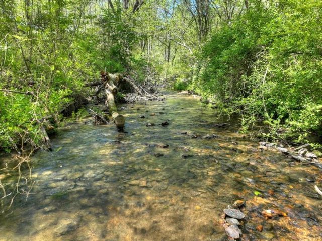 76 E Bevan Lane, Blue Ridge, GA 30513